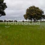 Foto 7d09de01-fe2e-4306-9b32-bc03a59c05d0. Finca rústica a Topas