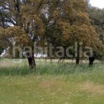 Foto 7db18a65-60c1-4c86-bd52-825a0b473dbb. Finca rústica a Topas
