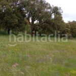 Foto 813318e9-f00f-4a19-b869-f8d16d7beb1a. Finca rústica a Topas