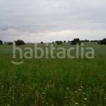Foto a66c4914-f8ae-451f-9dbe-98d2566f4db4. Finca rústica a Topas