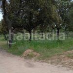 Foto a97cdf1c-b82b-405e-bd11-e451613dca8b. Finca rústica a Topas