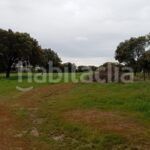 Foto f26de323-97c5-4396-922c-826e39eb8d6b. Finca rústica a Topas