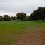 Finca rústica en Topas