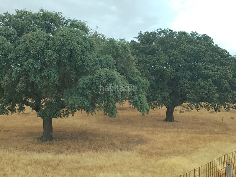 Foto 4a89915e-37ef-475a-a494-e9bb6bfe9833. Finca rústica a Puebla de Azaba