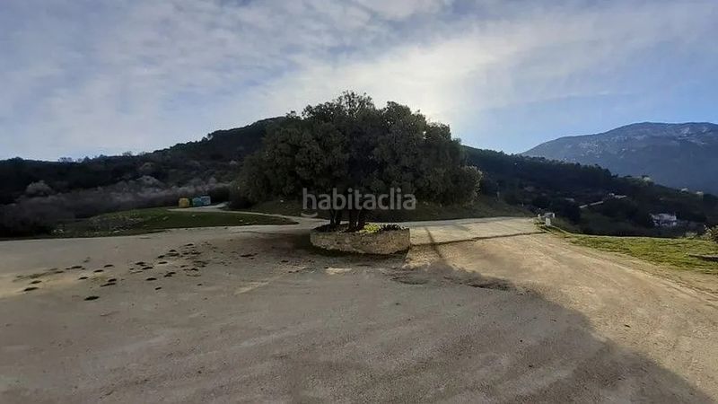 Foto afae962f-a61d-43b7-84f1-281936635daf. Edificio en Torres