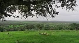 Fondo rustico in Sancti - Spíritus