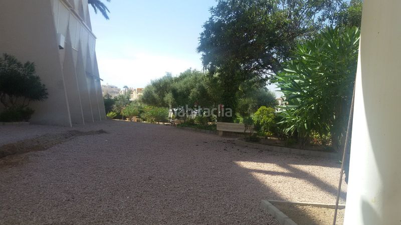 Foto 304aa172-28d8-4de1-b048-bd714229b571. Pis a calle helena 2 a Torreblanca Torrevieja