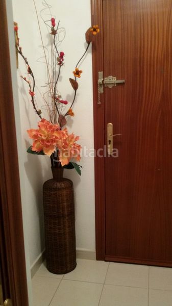Foto 37bad45b-b1fa-44d5-ad09-60f704765f3c. Pis a calle helena 2 a Torreblanca Torrevieja