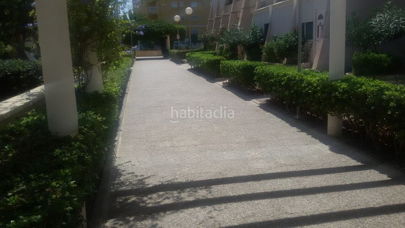 Foto 4f683c4a-c711-47cc-9554-b6e9d08ae7e7. Pis a calle helena 2 a Torreblanca Torrevieja