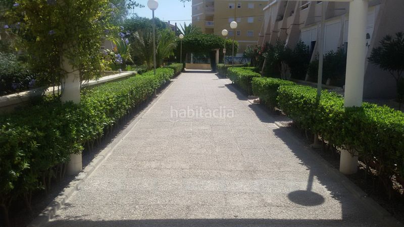 Foto 7abe684b-f06c-4ed9-8312-58076a654e0f. Pis a calle helena 2 a Torreblanca Torrevieja