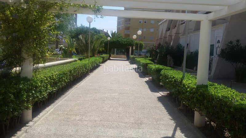 Foto 867f1245-d9ae-4ab9-8081-994a488bcf45. Pis a calle helena 2 a Torreblanca Torrevieja