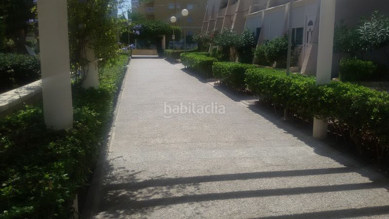 Foto 91d4fa01-388d-4533-b52b-50706cdb585b. Pis a calle helena 2 a Torreblanca Torrevieja