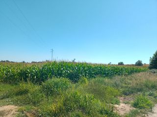 Wohngrundstück in Gimialcón