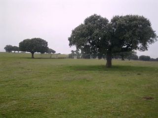 Rural plot in Vistahermosa