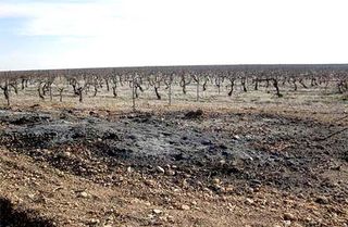 Finca rústica en Socuéllamos