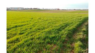 Rural plot in Carretera zamora 4