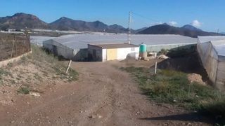 Landgut in Diputacion pastrana 4