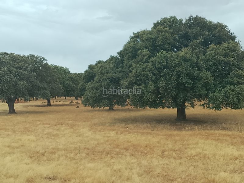 Foto d136da56-3b95-4aee-8143-19fafa4e9056. Finca rústica en Ciudad Rodrigo