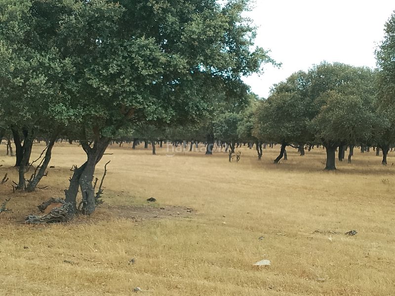 Foto d93c01de-02fb-44b4-8ac4-22a732ceffec. Finca rústica en Ciudad Rodrigo