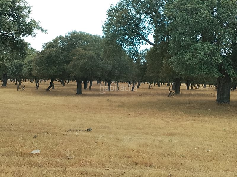 Foto fe5c5dff-7f38-441b-9b82-638e58ee23b3. Finca rústica en Ciudad Rodrigo