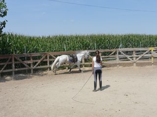 Rural plot in Huerta