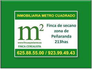 Landgut in Calle iglesia 31t. Inmobiliaria metro cuadrado , www.fincasysolares.com única web e