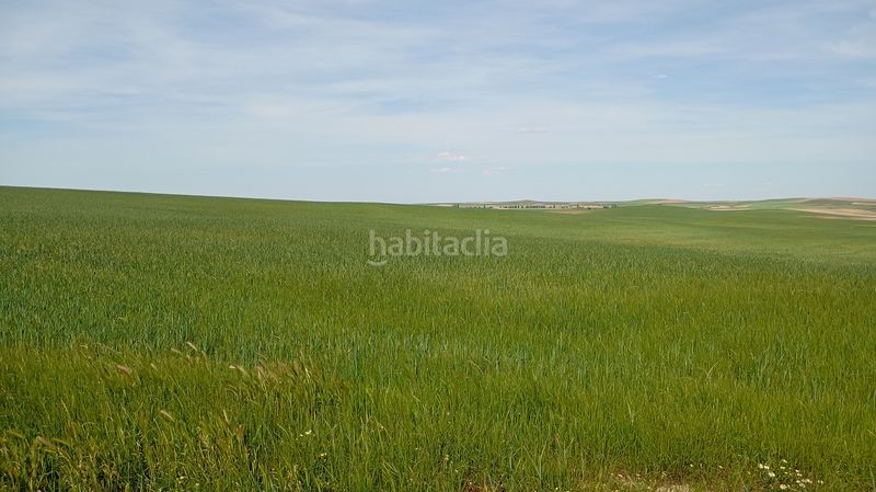Foto 3532f6b9-0b86-4038-bce9-d312894847fa. Finca rústica a calle iglesia 31t a Cantaracillo