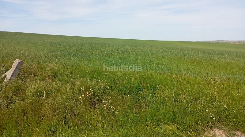Foto 776dd21d-59b2-419b-bac1-d58a540448a5. Finca rústica a calle iglesia 31t a Cantaracillo