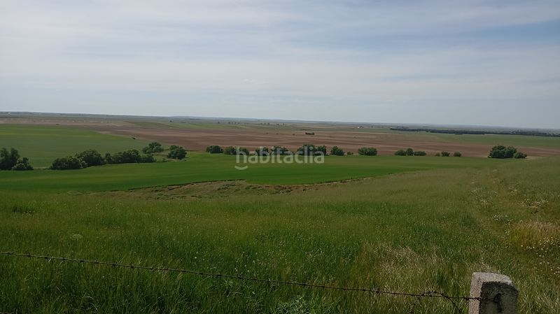 Foto 79d4afaa-68bf-433d-8bb7-806d1ae7aa11. Finca rústica a calle iglesia 31t a Cantaracillo
