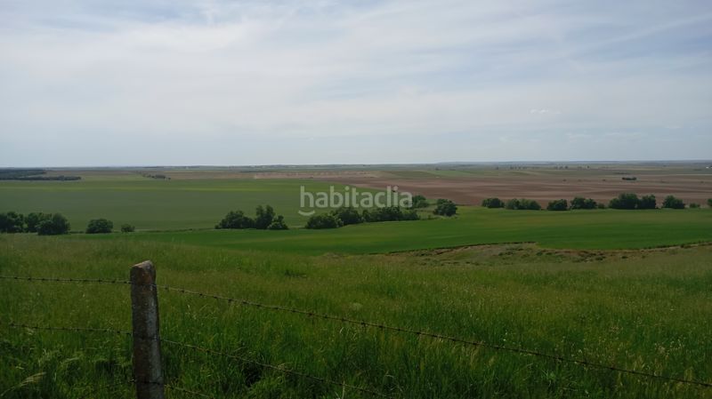 Foto c1b7cf3d-83c0-44b8-8877-cd3510224e19. Finca rústica a calle iglesia 31t a Cantaracillo