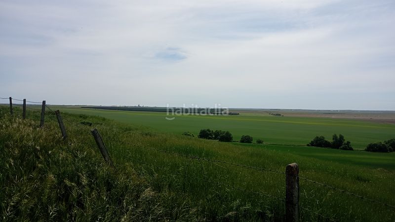 Foto c3ea0d4e-85e6-43bb-8fd4-6e388acd7d98. Finca rústica a calle iglesia 31t a Cantaracillo
