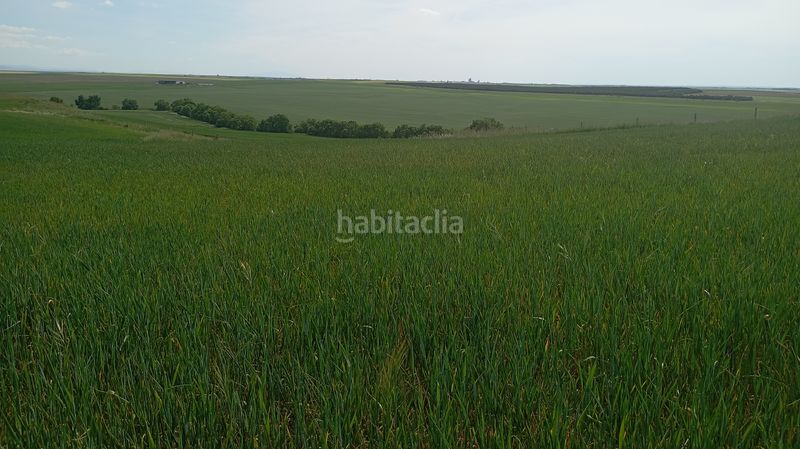Foto e8441f54-bca6-495c-afd1-a96989403360. Finca rústica a calle iglesia 31t a Cantaracillo
