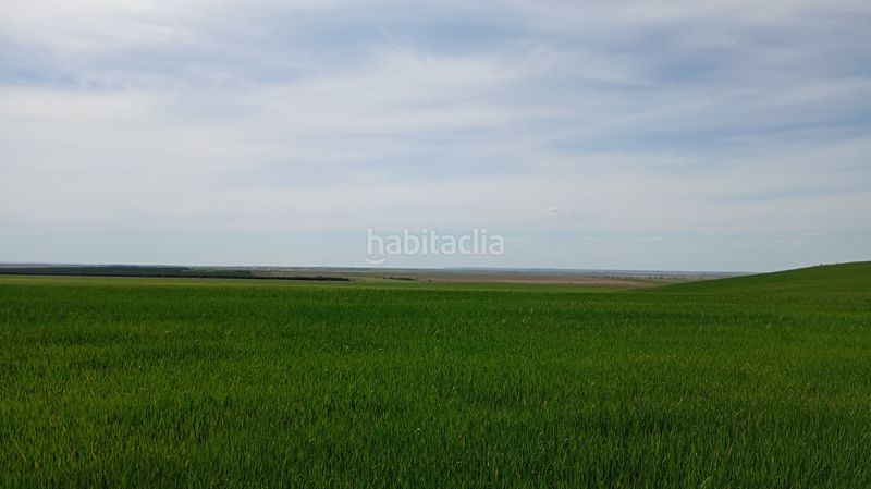 Foto e99d4629-363f-4fe2-8d51-12247d17f69b. Finca rústica a calle iglesia 31t a Cantaracillo