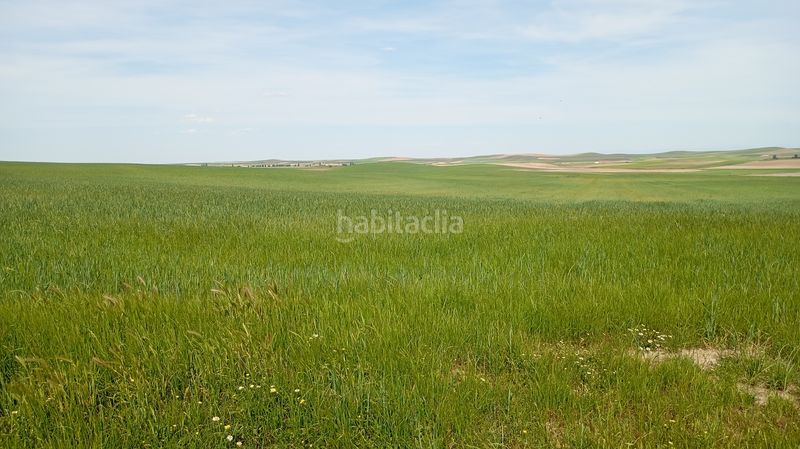 Foto ff2d153a-78c9-40e3-be53-bbddbb81dabc. Finca rústica a calle iglesia 31t a Cantaracillo