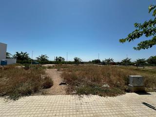 Terreny residencial a Alfara del Patriarca