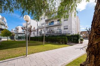 Affitto Piccolo appartamento  Calle puntarro. Vivienda a la venta en jardines de alfara  disponible a partir d