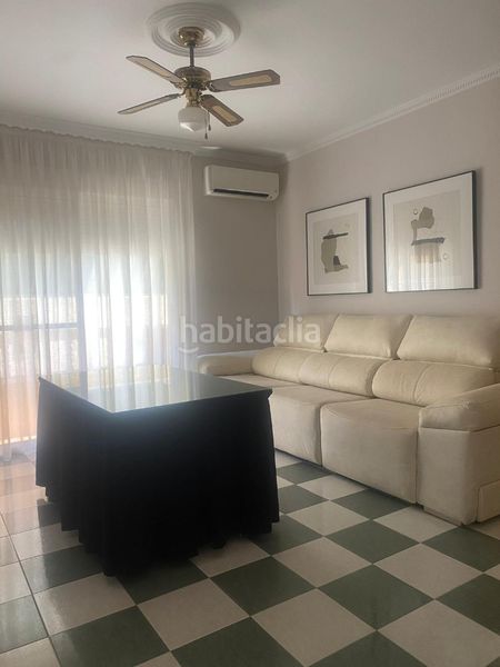 Foto a3e0905b-a67a-4fb3-a92c-0d9bbf589521. Pis a Torrenueva Motril