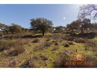 Terreno residencial en Las Vaguadas. Parcela en venta