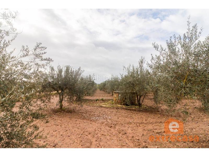 Foto 2bf9e887-2c98-444f-b310-6b61406e3be2. Wohngrundstück in Ciudad Jardín Badajoz