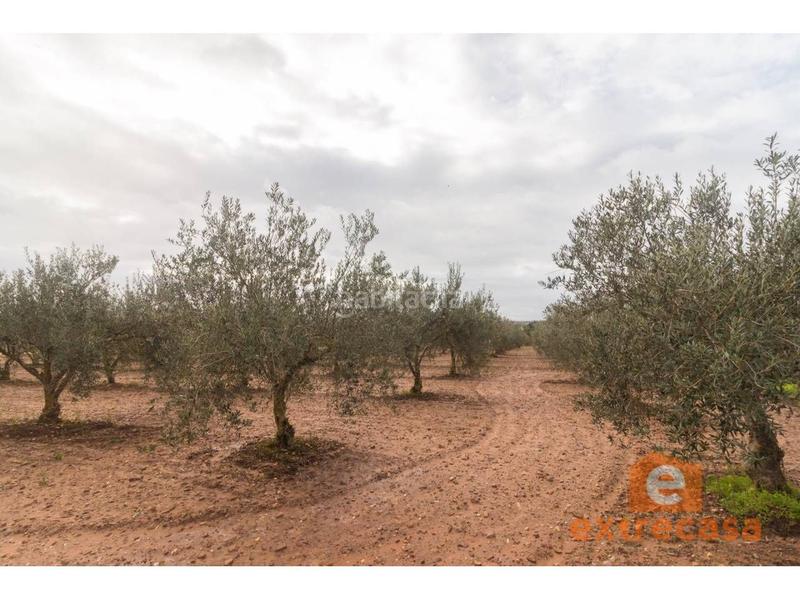 Foto 4292ac03-327e-4915-9175-61caea4d038b. Wohngrundstück in Ciudad Jardín Badajoz