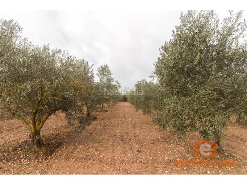 Foto 4ff70707-31f3-42a1-8e8c-3fd1157f7d61. Wohngrundstück in Ciudad Jardín Badajoz