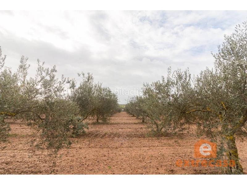 Foto 543f86a1-8cdb-43ed-a981-90ed8d5c3285. Wohngrundstück in Ciudad Jardín Badajoz