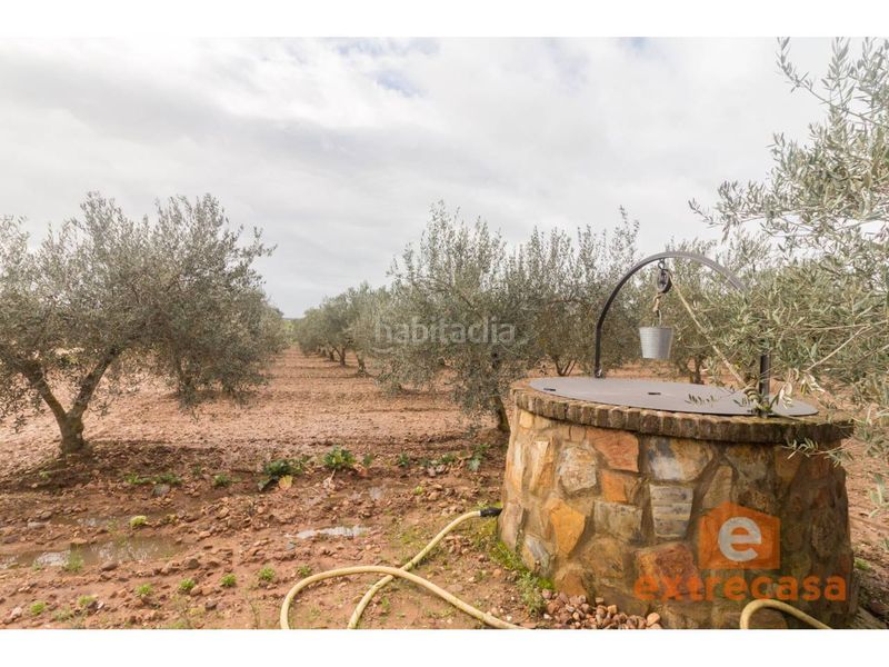 Foto c0276a29-eaed-40e6-8408-28d22c95f40d. Terreny residencial a Ciudad Jardín Badajoz