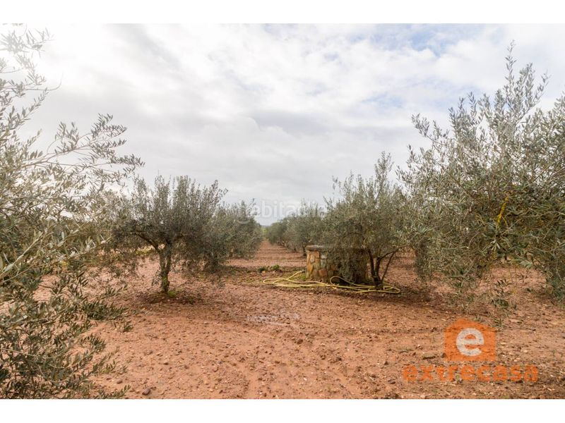 Foto c53c20bb-f4d9-4773-a33b-4b4d6ce3c8a1. Terreny residencial a Ciudad Jardín Badajoz