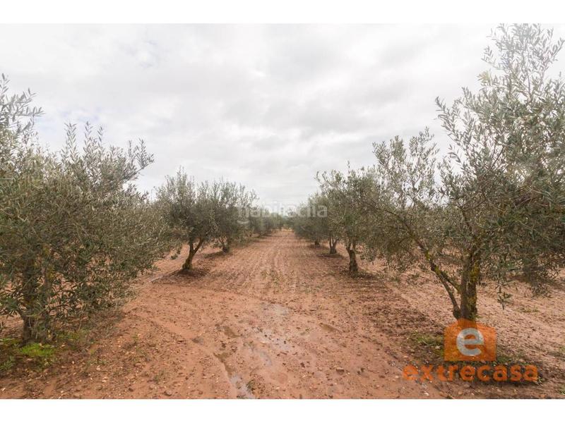 Foto ceccd701-2e20-498e-9c08-cbc20da99da5. Wohngrundstück in Ciudad Jardín Badajoz