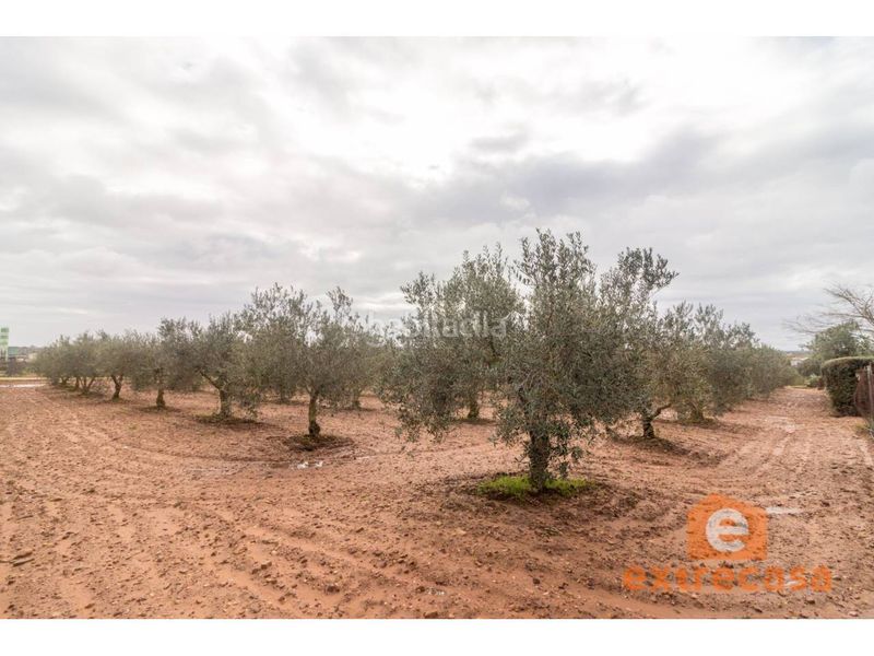 Foto d2d47ba7-0db2-43fd-aef2-6be35278c90c. Terreny residencial a Ciudad Jardín Badajoz