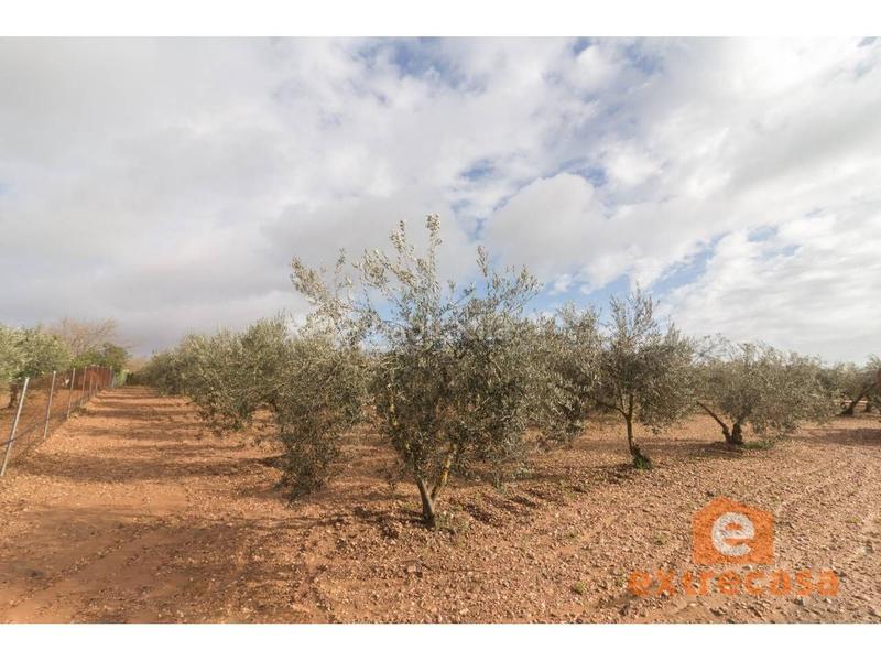 Foto e61b78f4-3821-4a21-accd-dea687a86d2e. Wohngrundstück in Ciudad Jardín Badajoz