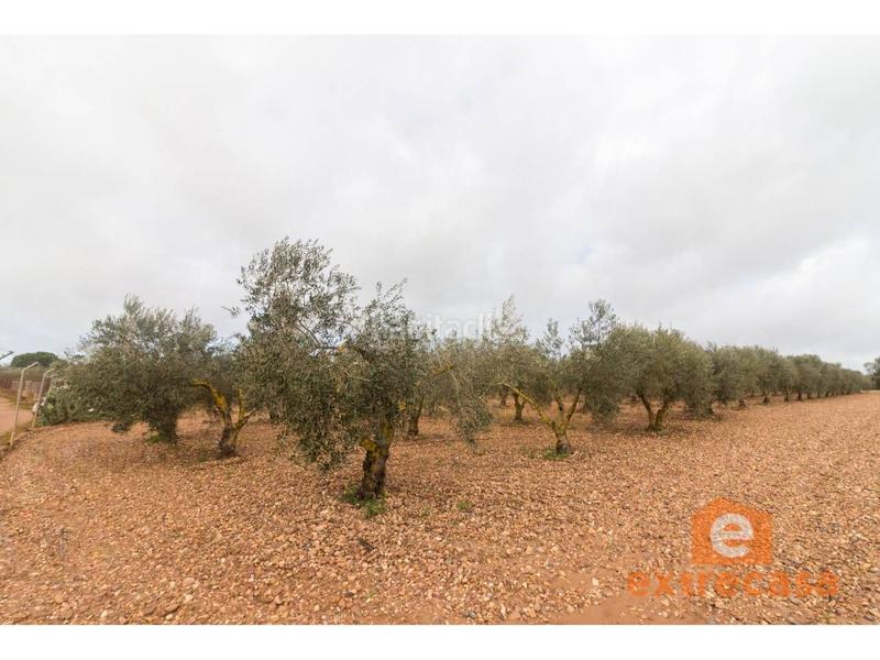 Foto e7518da0-7148-400a-81a5-ea99aa1fe69c. Wohngrundstück in Ciudad Jardín Badajoz