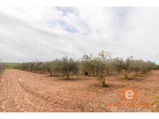 Wohngrundstück in Ciudad Jardín. Parcela en venta en carretera de valverde