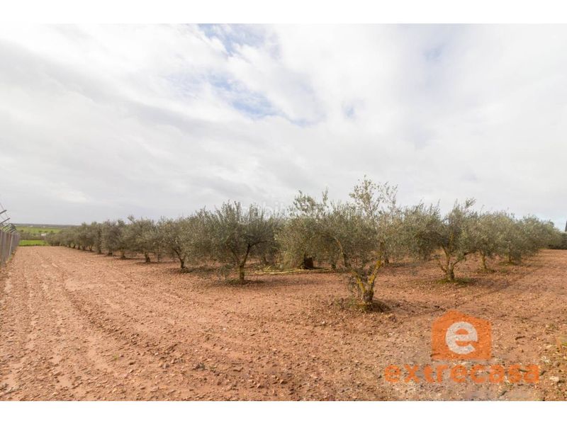 Foto e757675e-cc88-4c6d-805d-08147878317e. Terreny residencial a Ciudad Jardín Badajoz